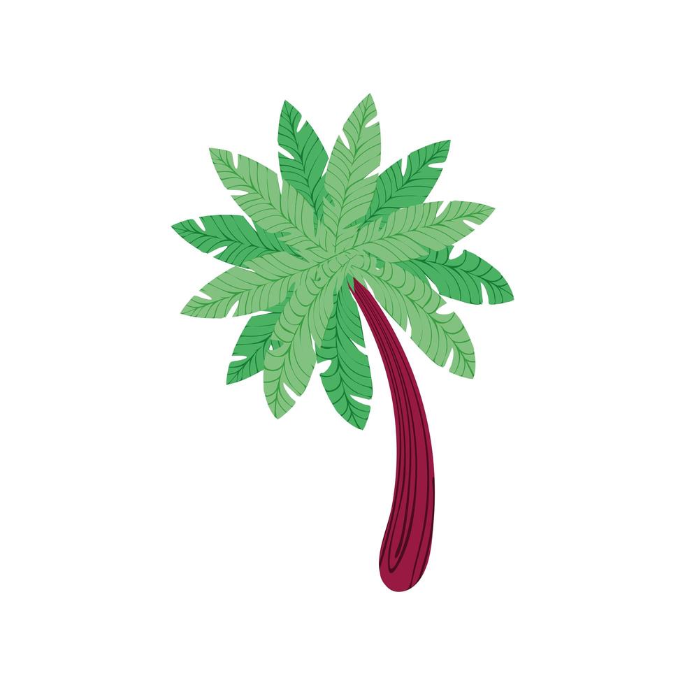 tropical palm tree vector
