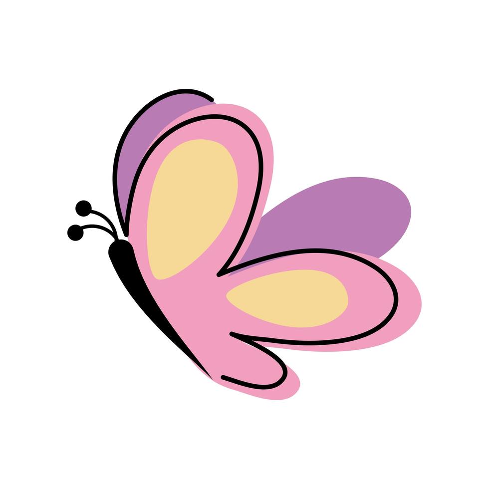 butterfly insect doodle vector