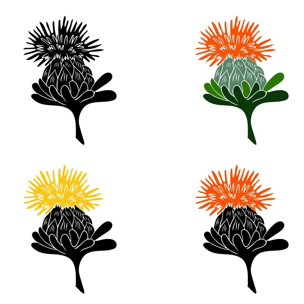 Safflower silhouette set. Isolated illustration on white background. vector
