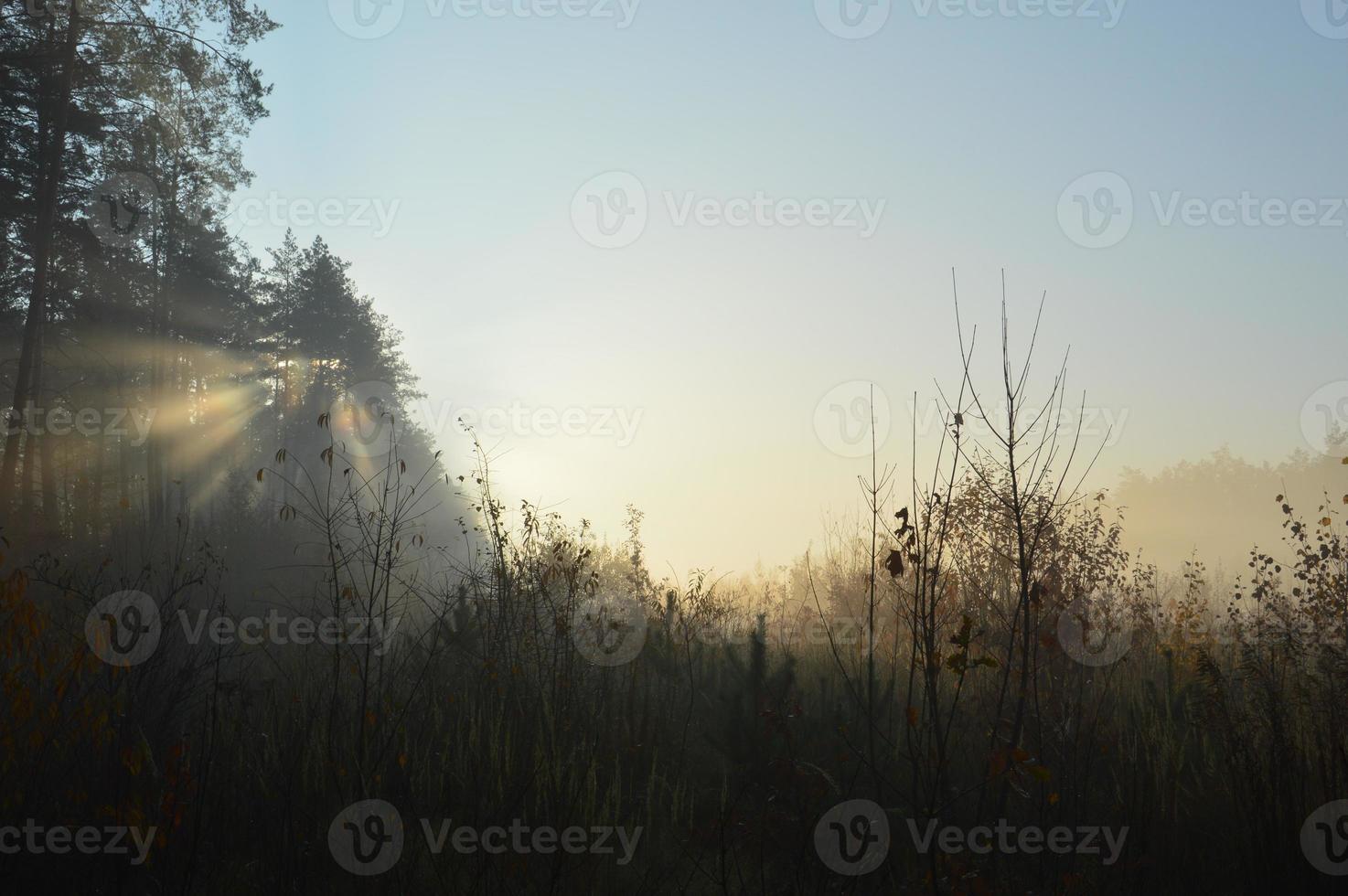 The morning sun rises on the horizon in the forest and village photo