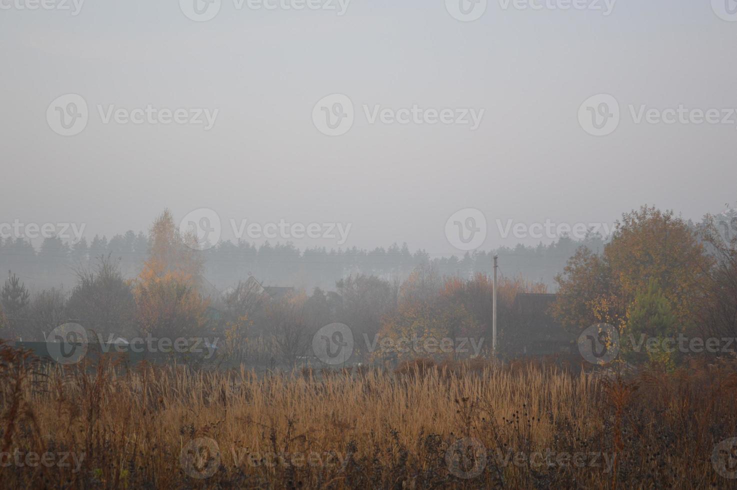 niebla matutina y neblina en el bosque y el pueblo foto