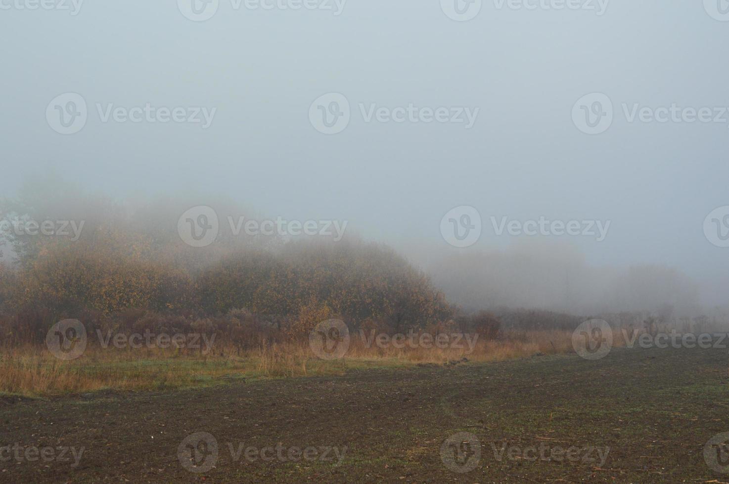 Morning fog and haze in the forest and village photo