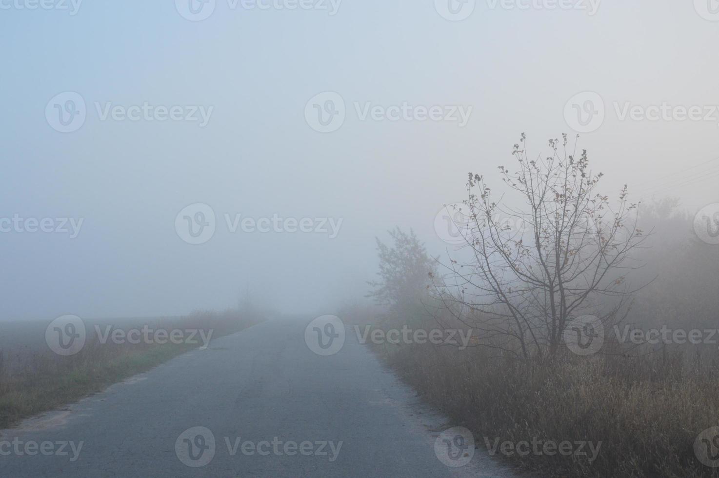 niebla matutina y neblina en el bosque y el pueblo foto