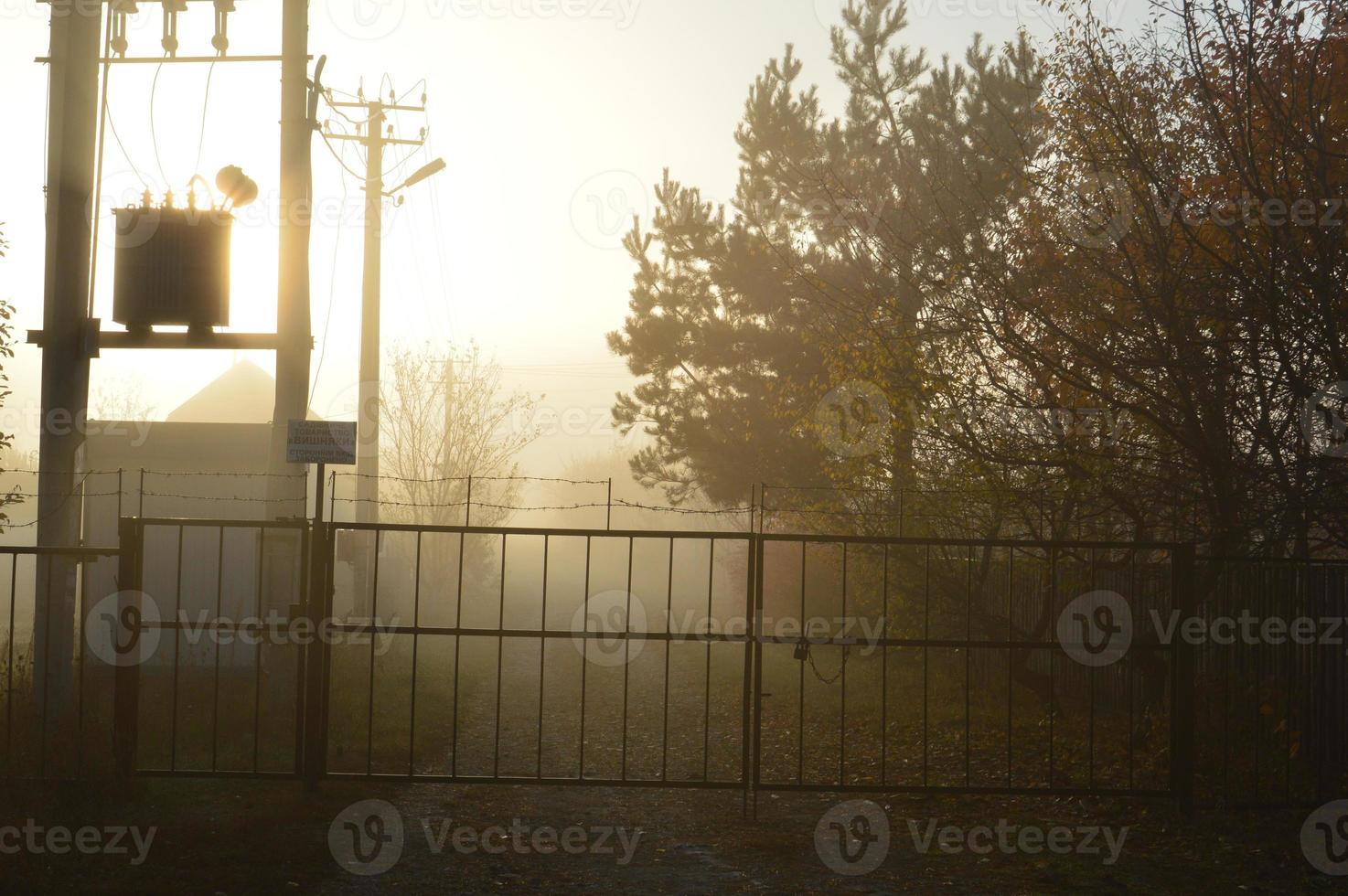 The morning sun rises on the horizon in the forest and village photo