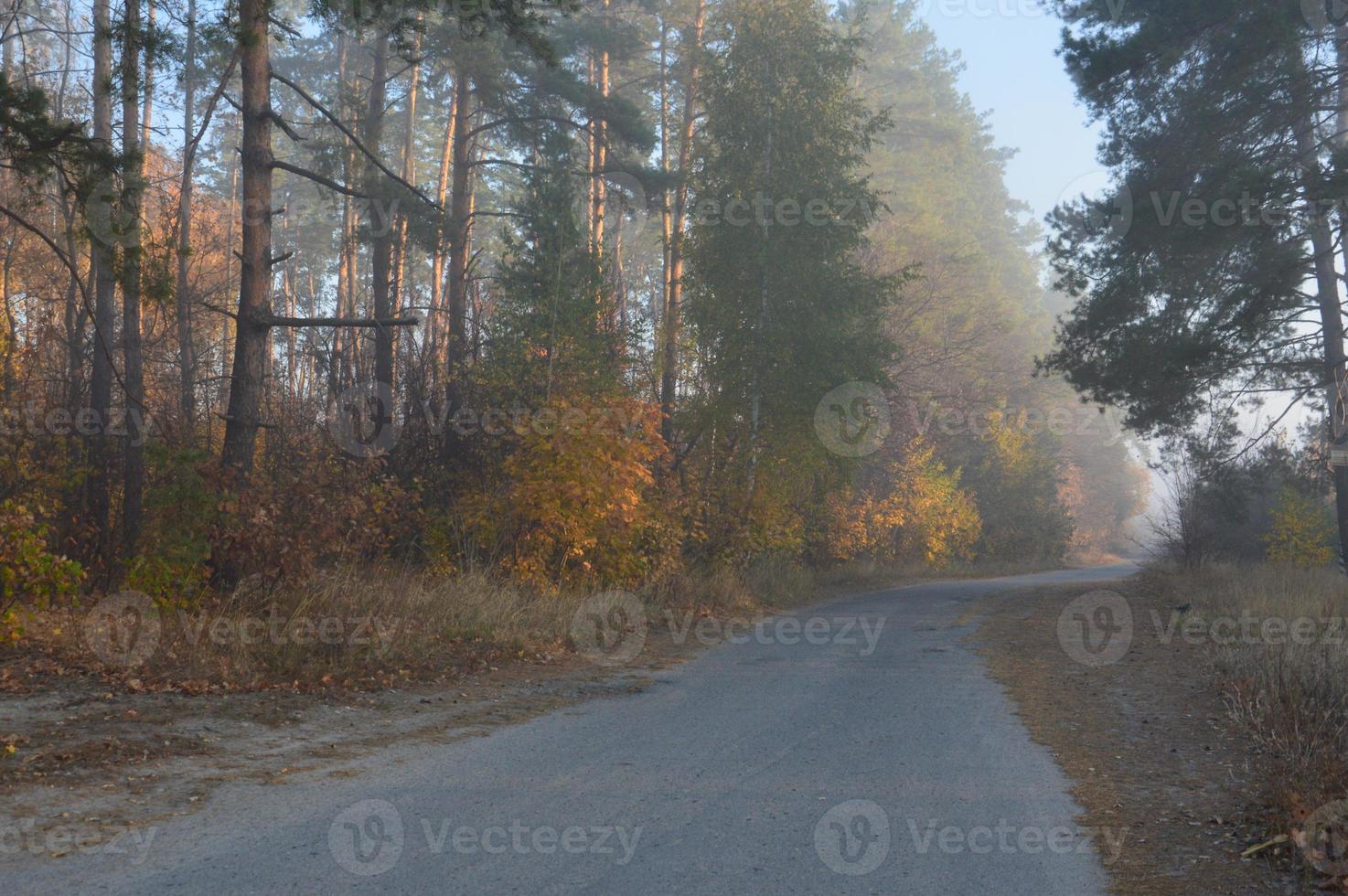 Morning fog and haze in the forest and village photo