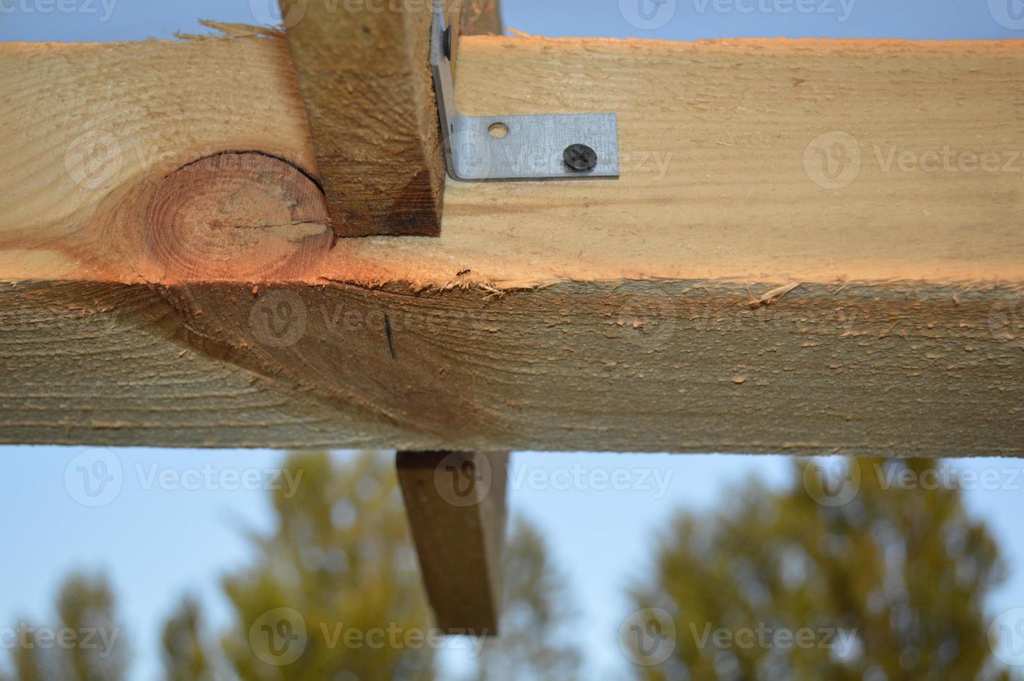 Building knots and designs from a tree, fastening of a framework photo