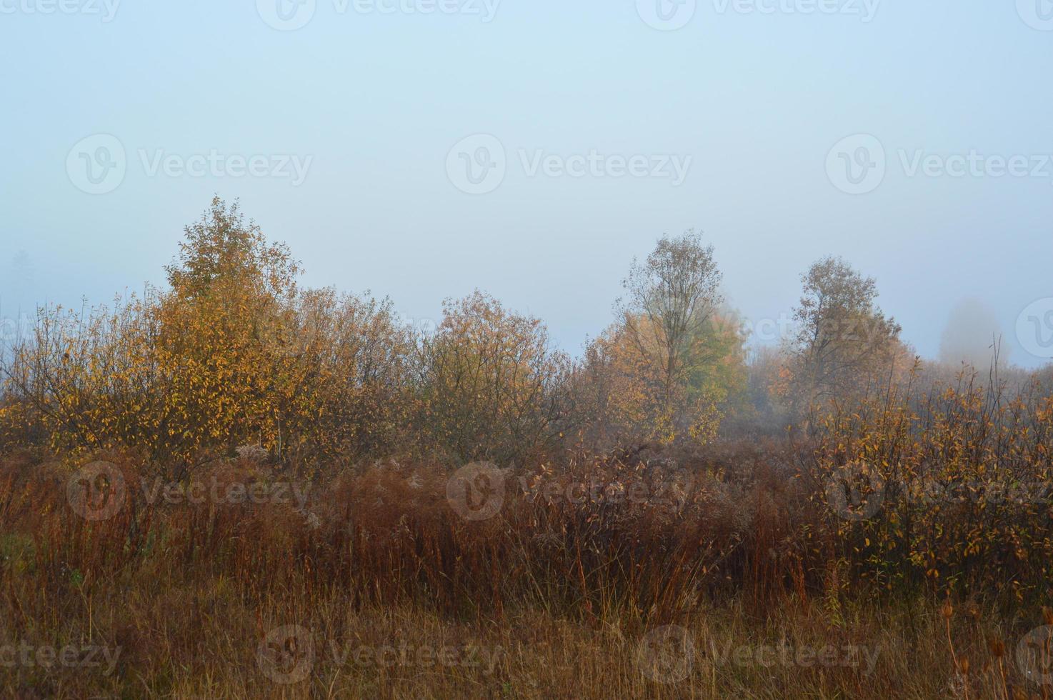 Morning fog and haze in the forest and village photo