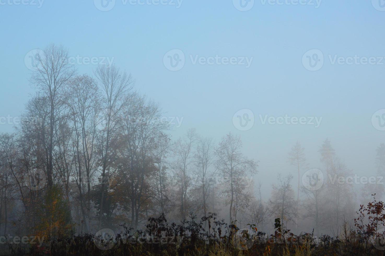 Morning fog and haze in the forest and village photo