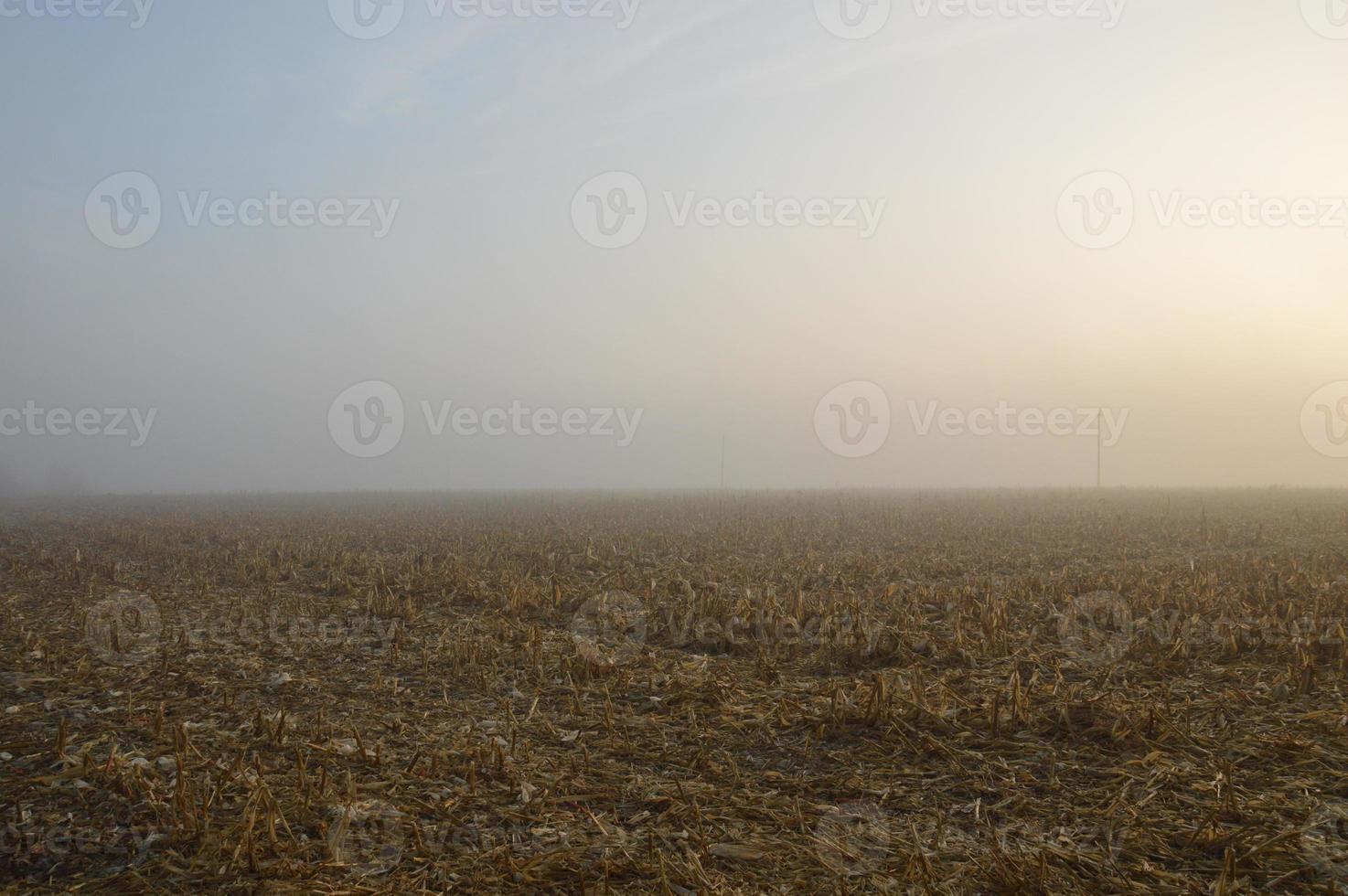 Morning fog and haze in the forest and village photo