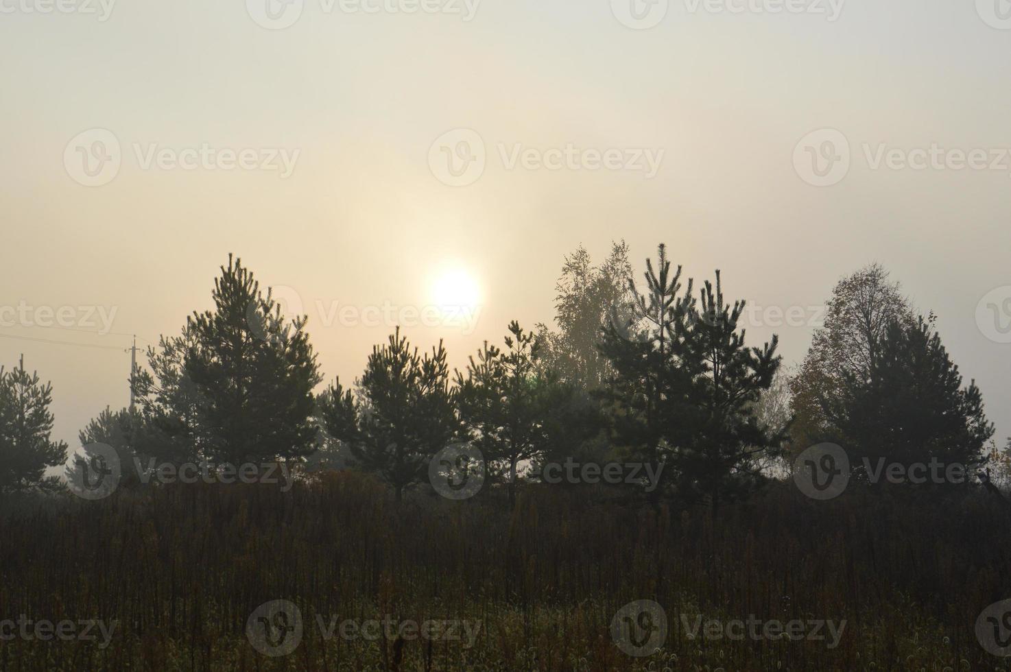 The morning sun rises on the horizon in the forest and village photo