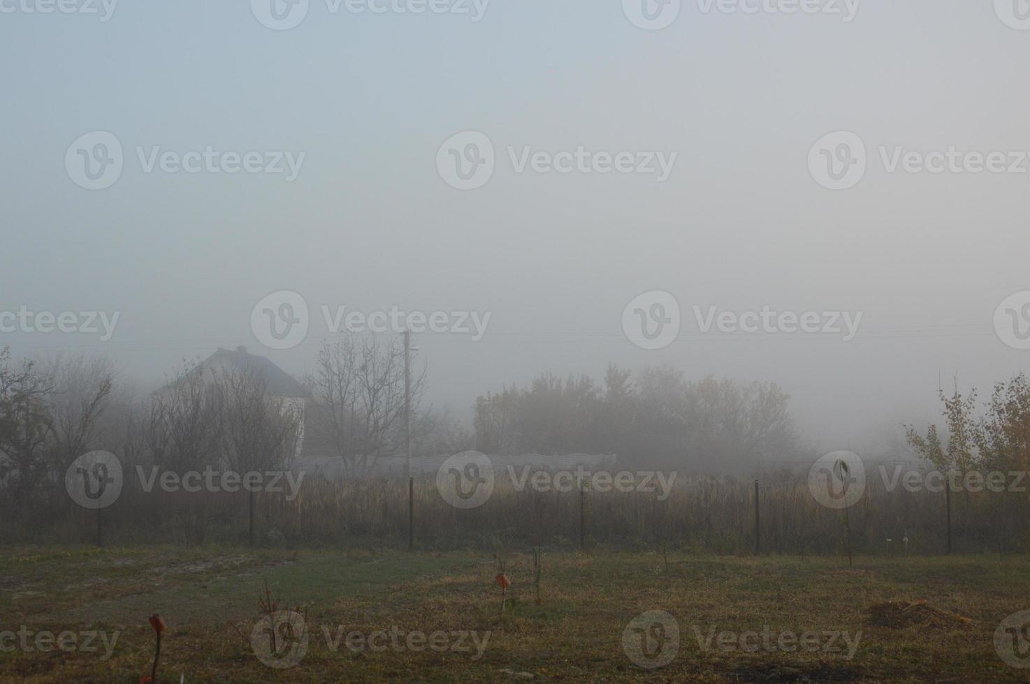 Morning fog and haze in the forest and village photo