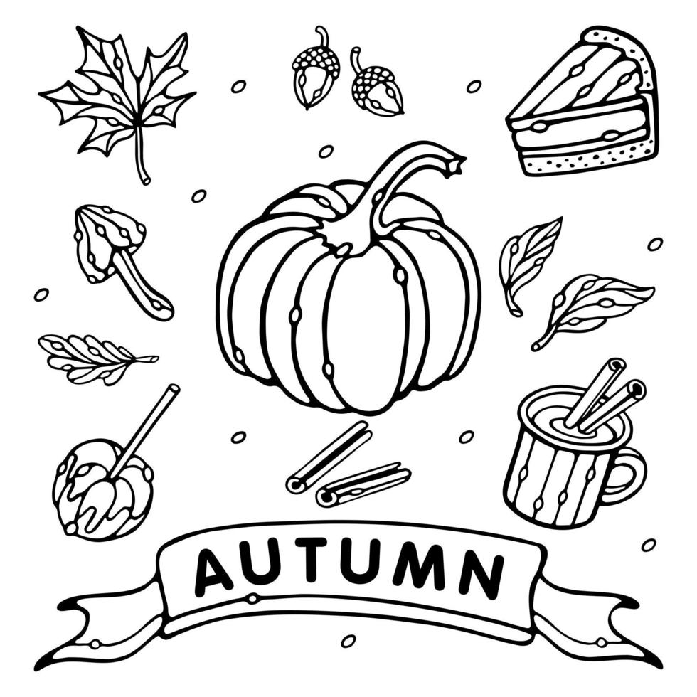 Autumn vector collection. Outline Set of fall vector objects. Pumpkin, leaves, mug, cinnamon, piece of pie, acorns, mushroom, apple with caramel. Doodle style isolated on white background