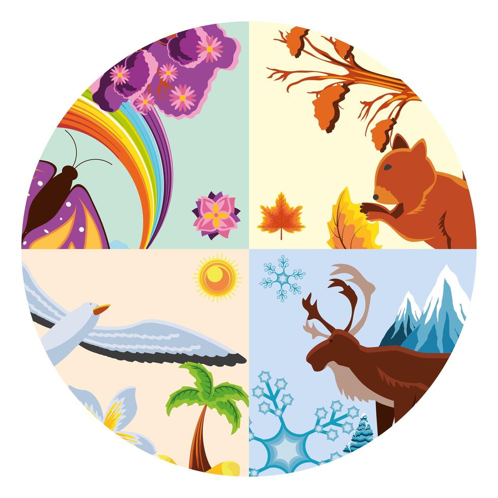 landscape four seasons vector