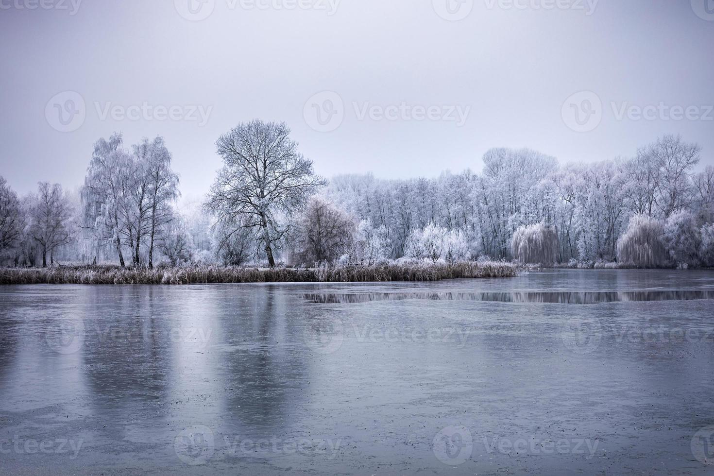 Winter forest on the river at sunset. Panoramic landscape with snowy trees, sun, beautiful frozen river with reflection in water. Seasonal. Winter trees, lake and blue sky. Frosty snowy river. Weather photo