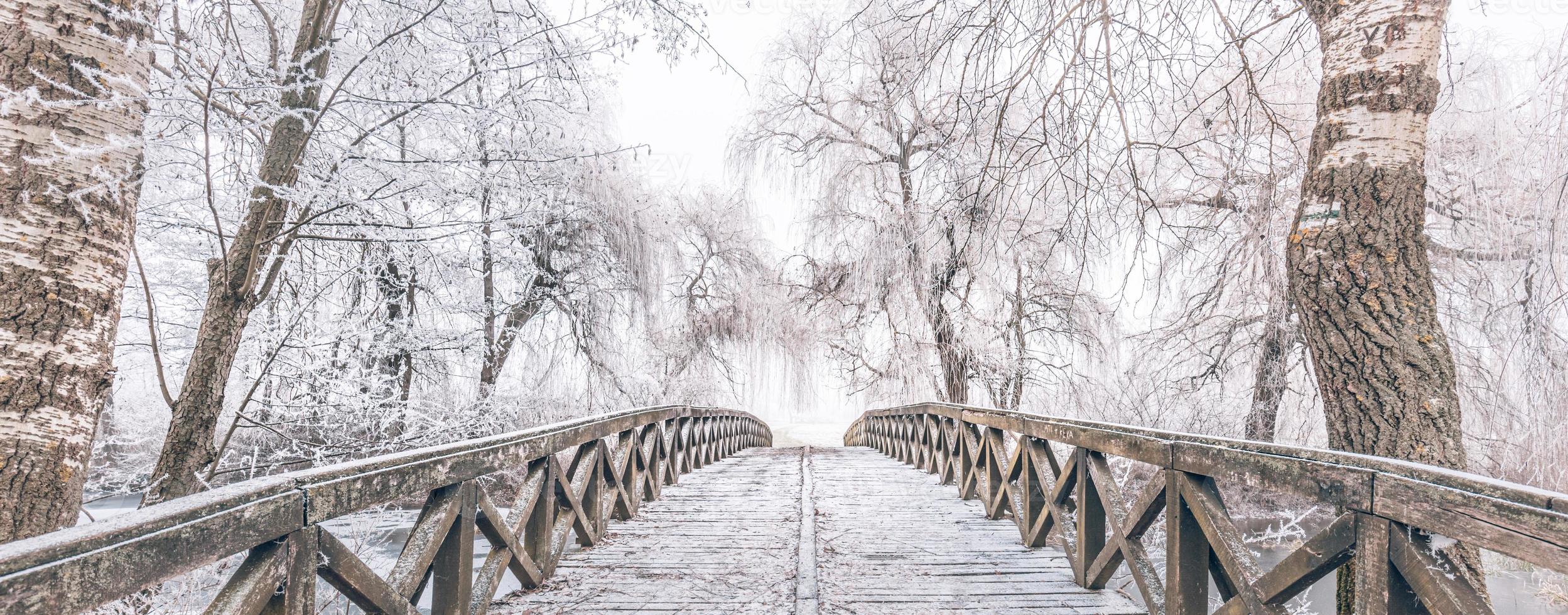 Escena de invierno en el jardín botánico, que muestra un puente sobre agua helada y árboles cubiertos de nieve fresca. foto