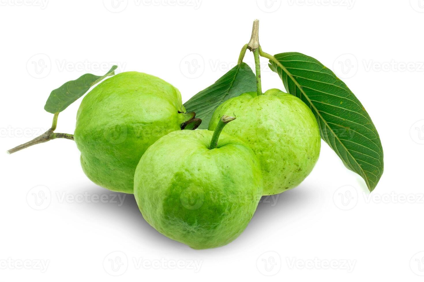 Kimchi Guava fruit with leaf at white background photo