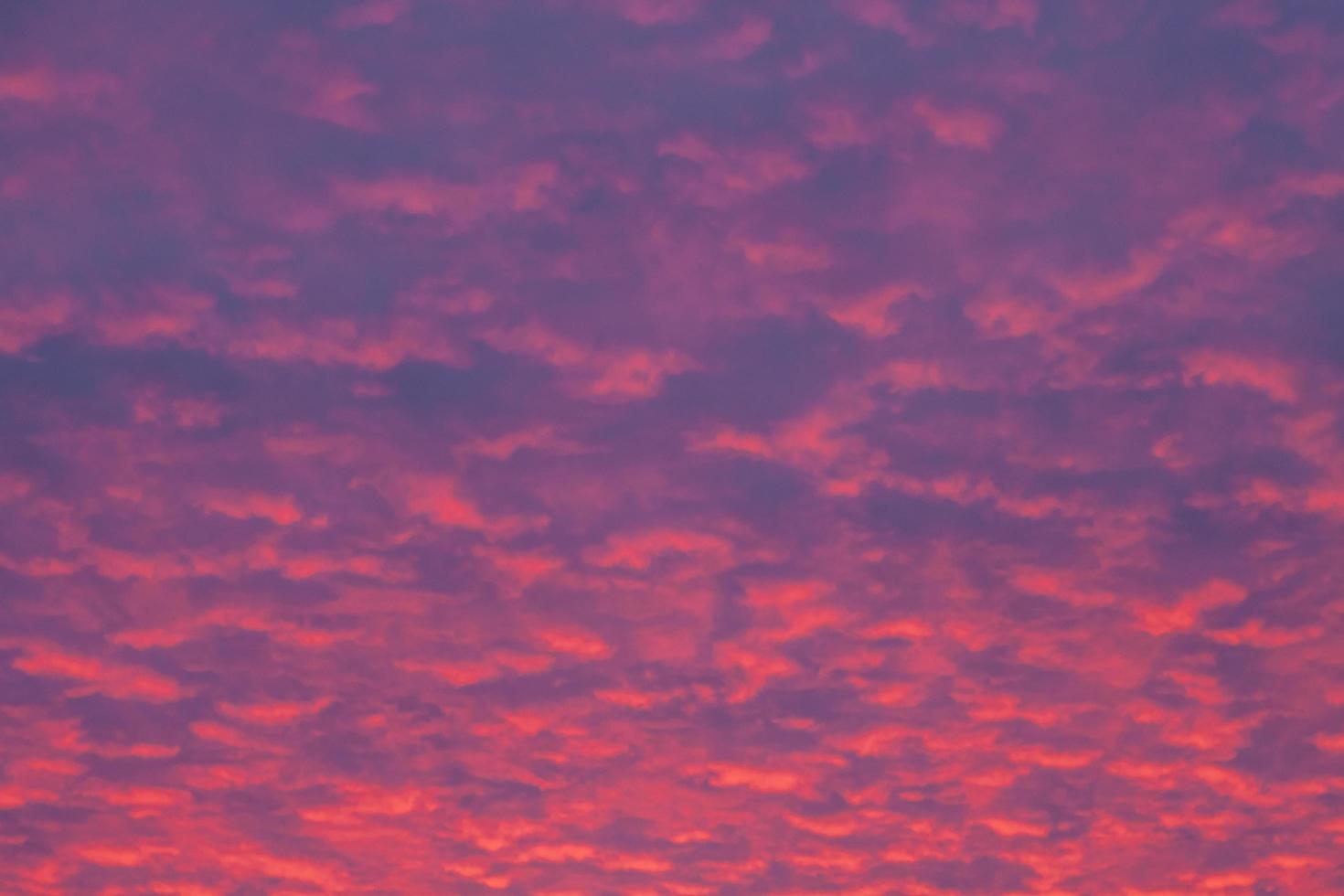 Pink sunset sky with beautiful clouds. photo