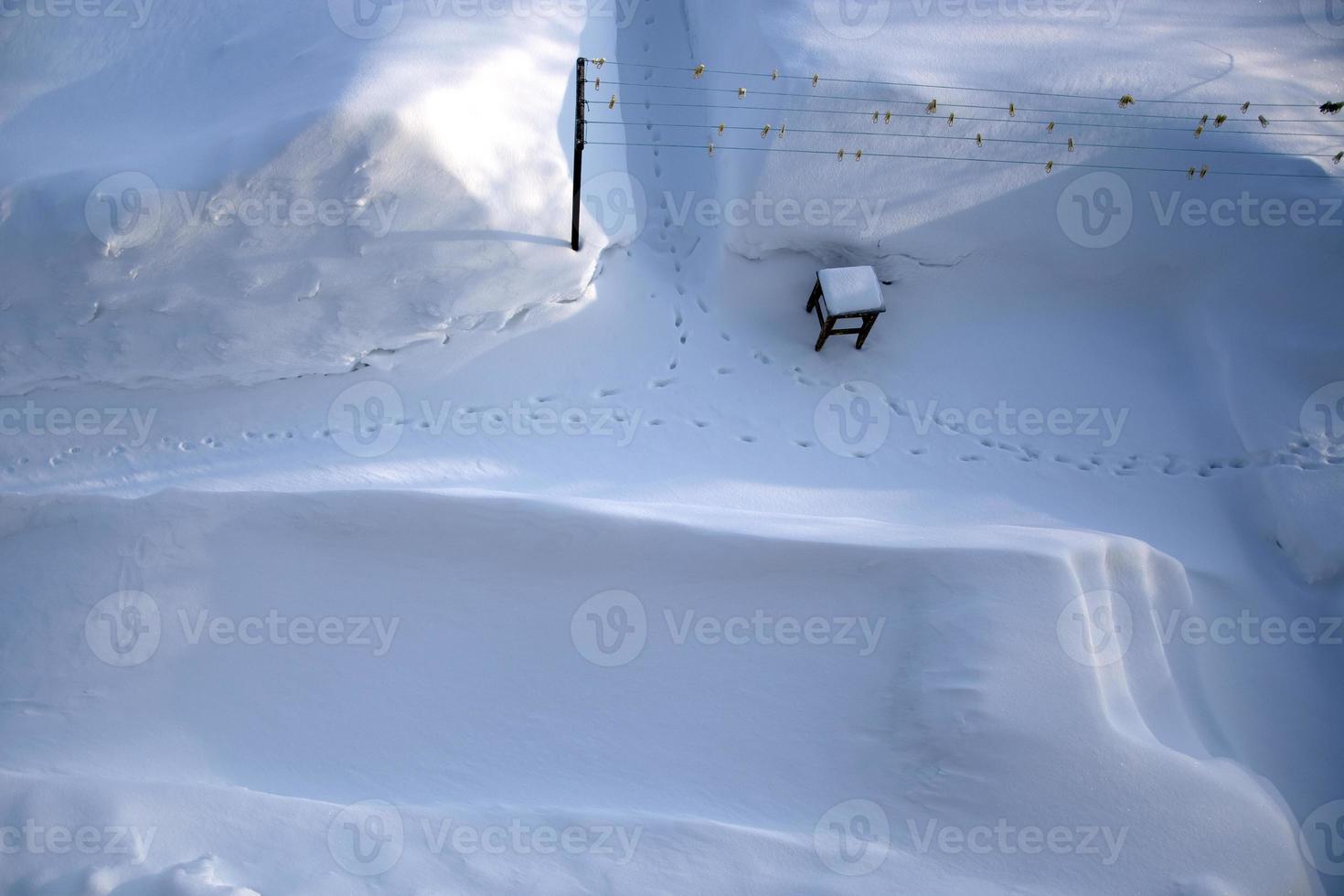 vista superior del huerto en invierno. huellas de gato en la nieve. foto
