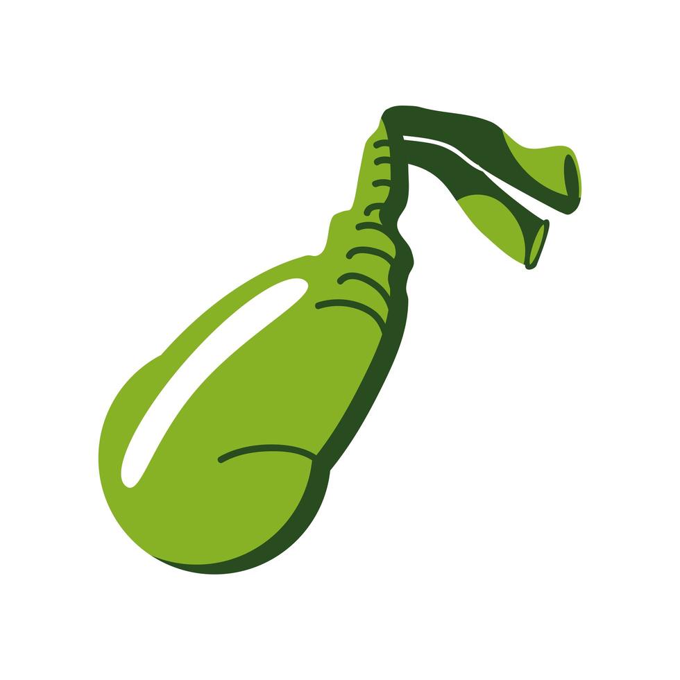 human gallbladder organ vector