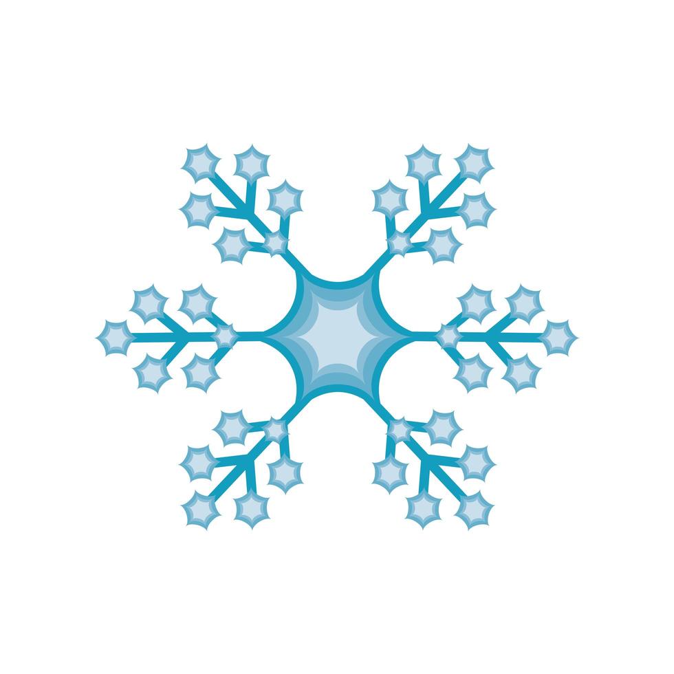 snowflake winter season vector