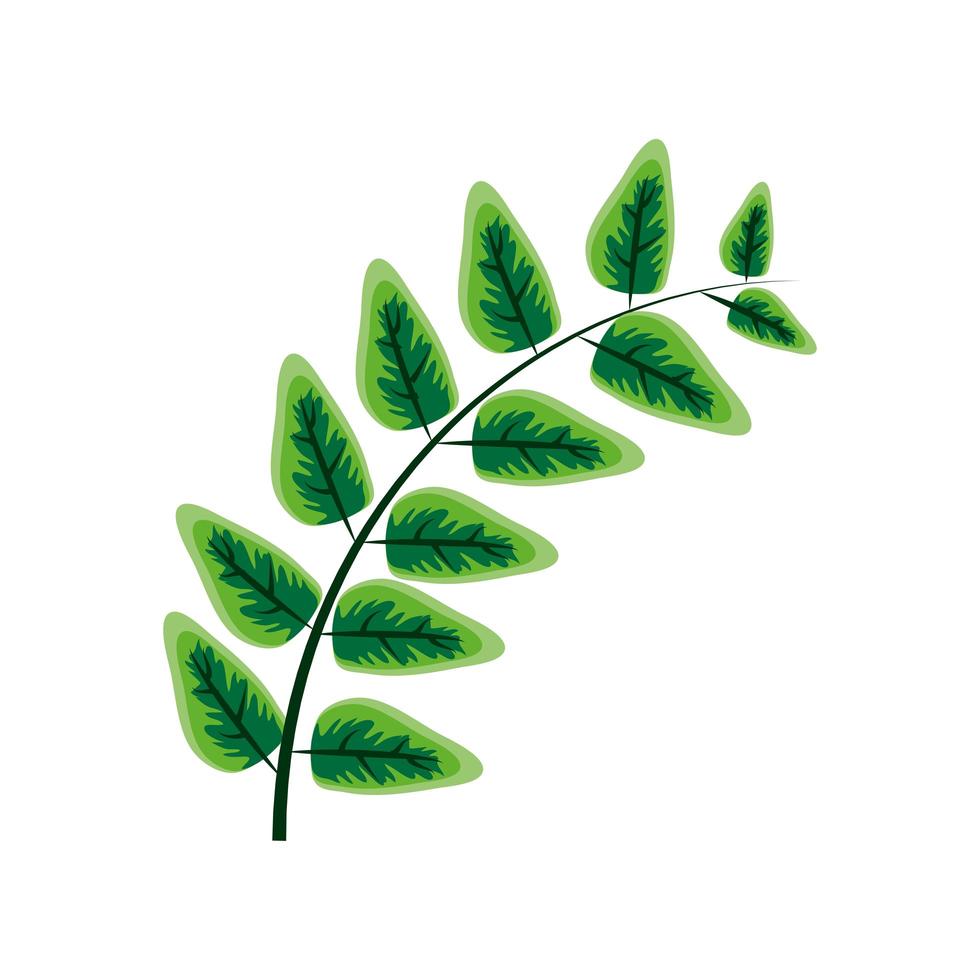 branch leaves natural vector