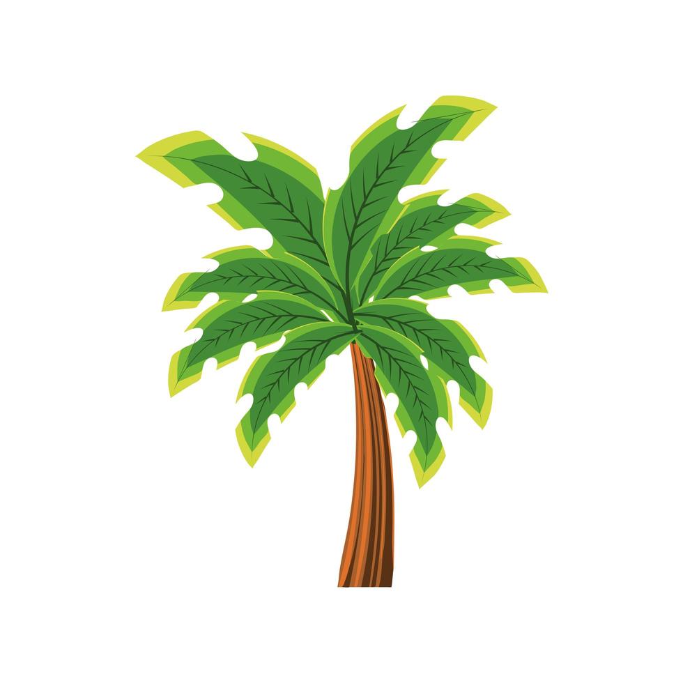 palm tree tropical vector