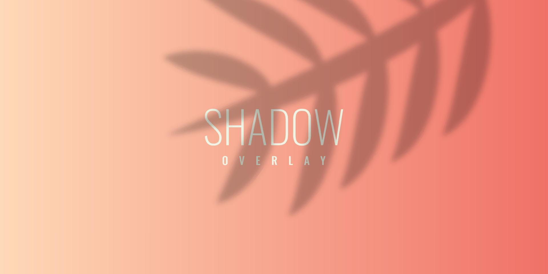 Abstract Shadow Overlay Background Illustration Template Design vector