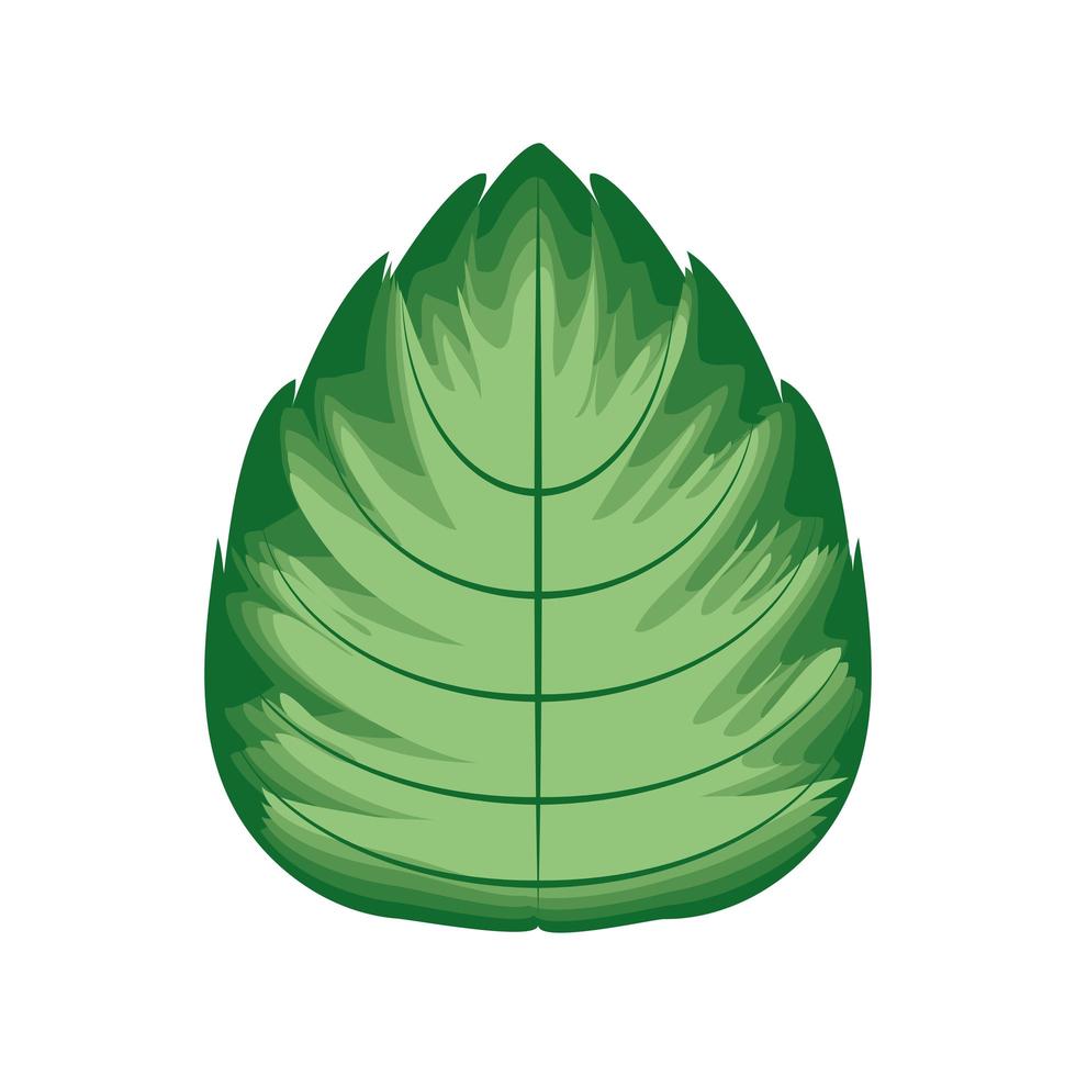 botánico de hoja verde vector