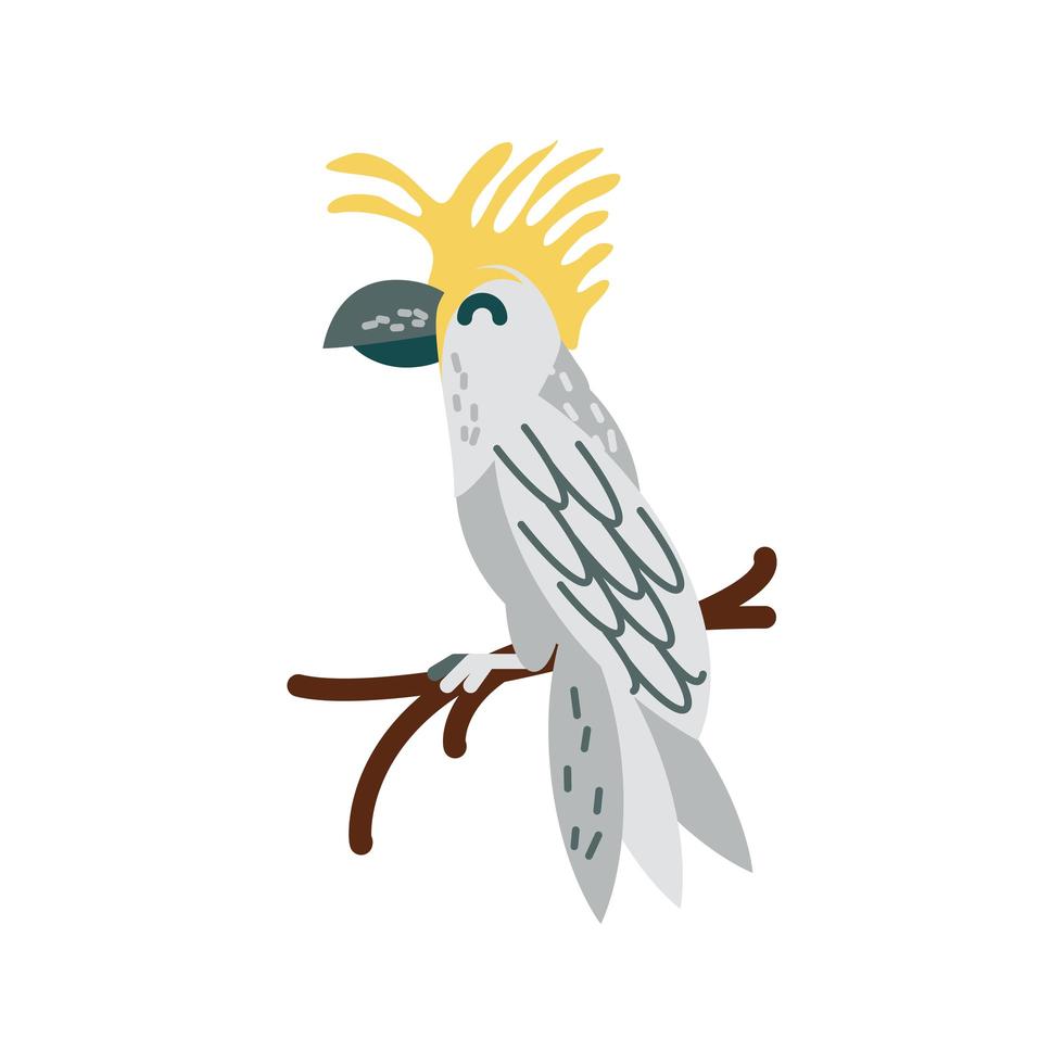 cockatoo on branch vector