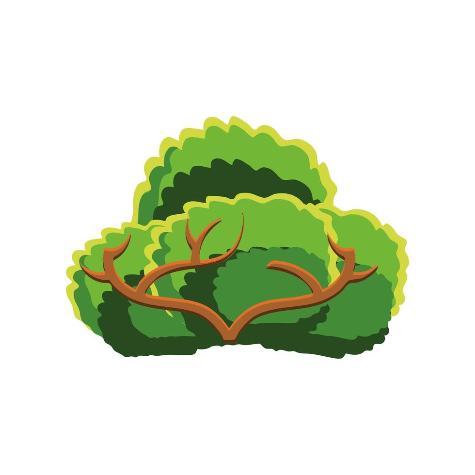 bushes branch wood vector