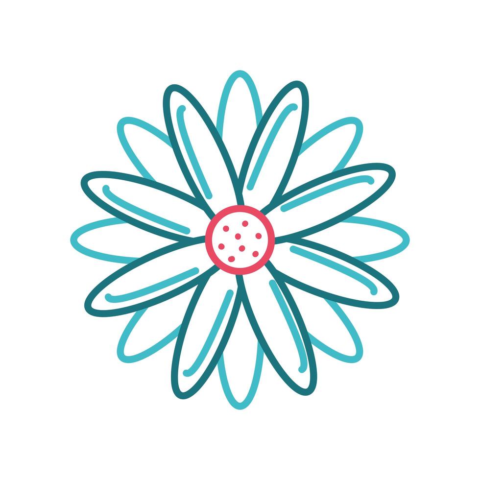 flower petals decoration vector