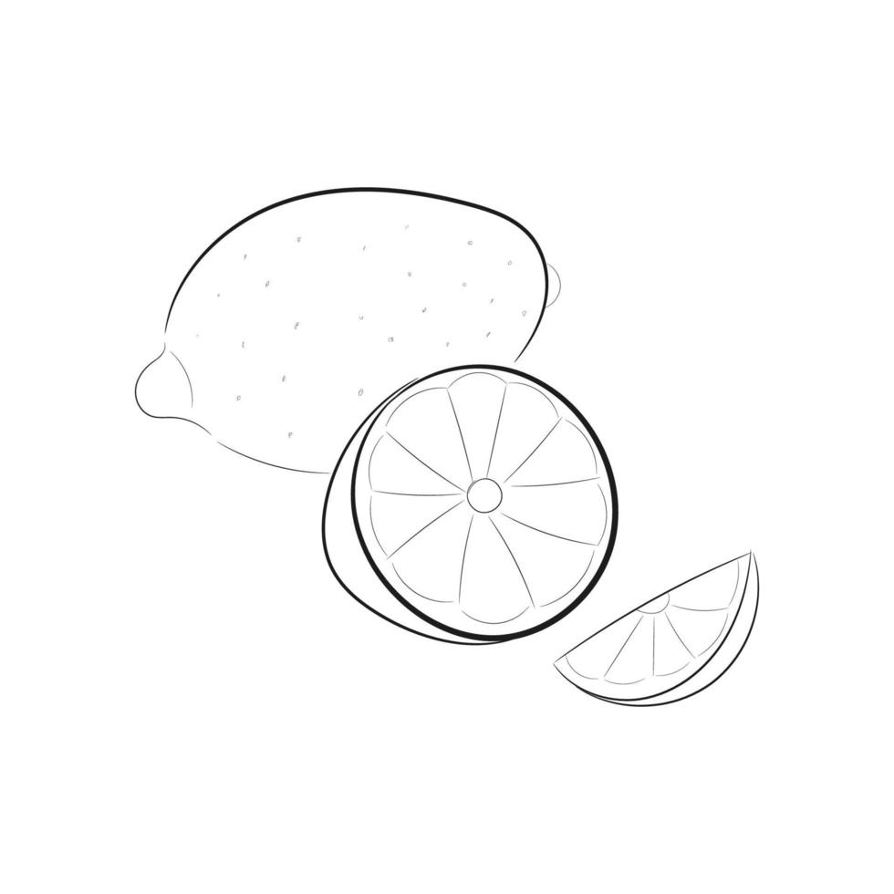 Boceto dibujado a mano de limón negro. Ilustración de vector de doodle. arte de línea de cítricos. dibujo a mano rebanada de fruta. icono de contorno de cal aislado sobre fondo blanco. dibujos animados de jugo de limon