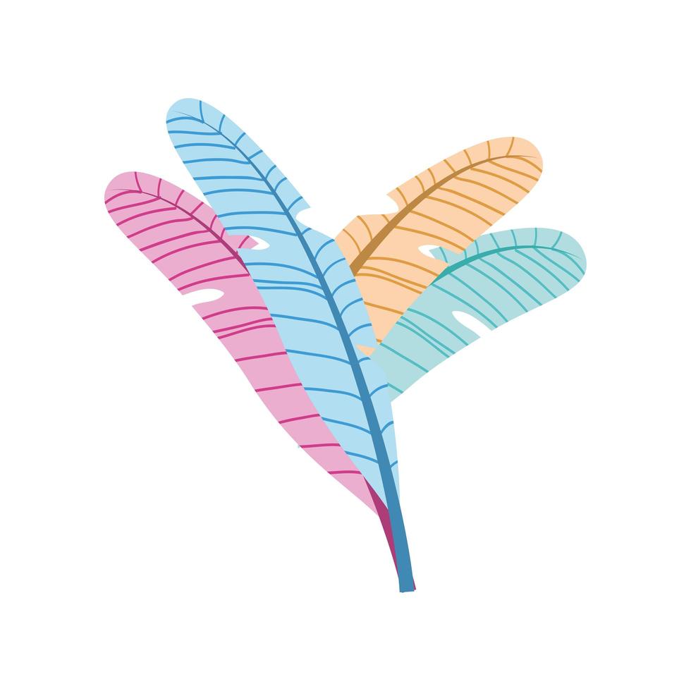 feathers decoration design vector