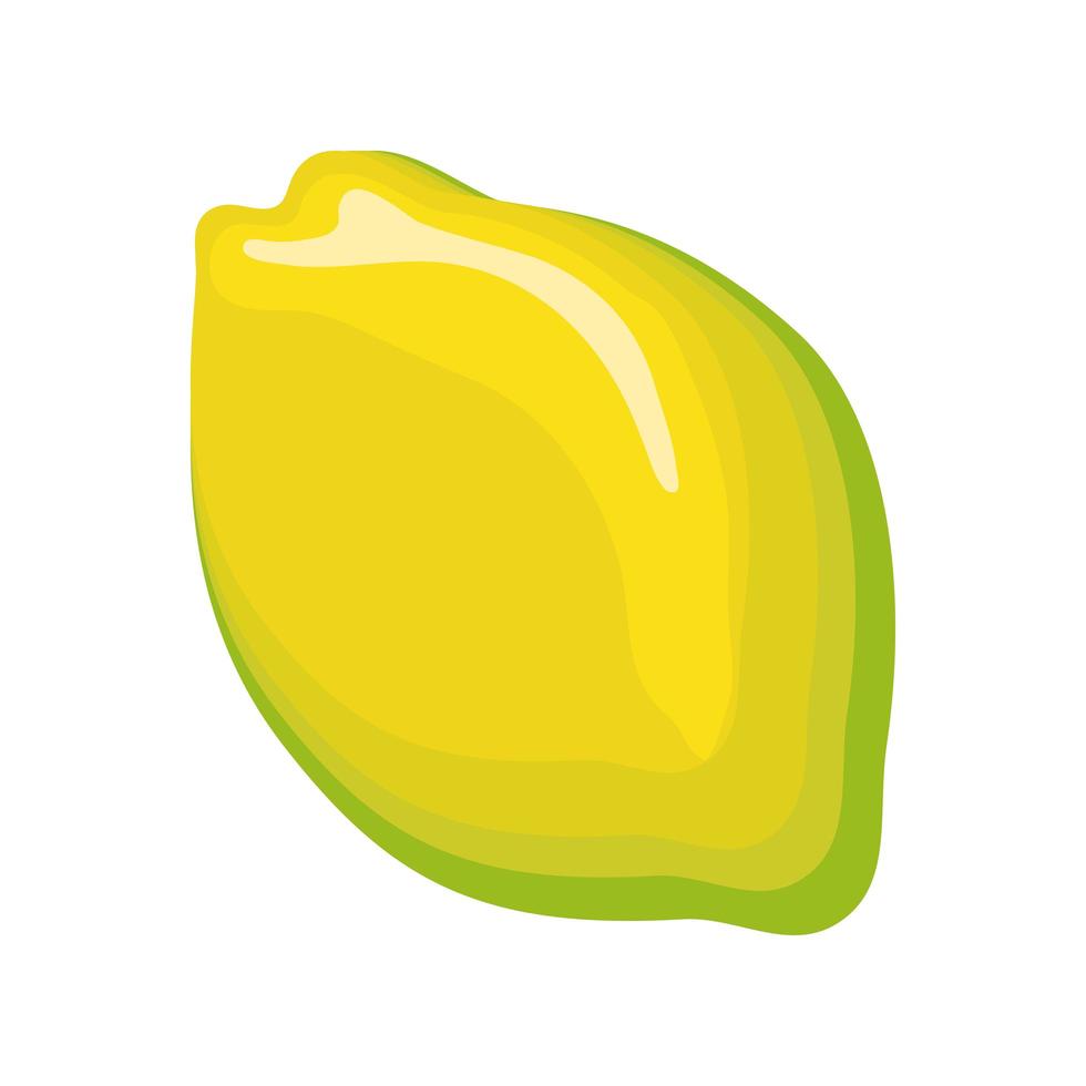 tropical fruit lemon vector