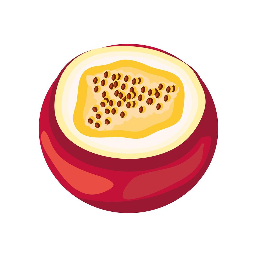 tropical passion fruit vector