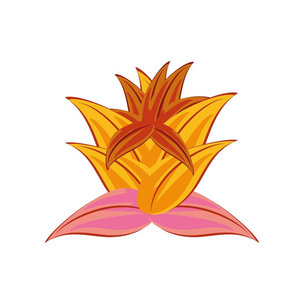exotic tropical flower vector