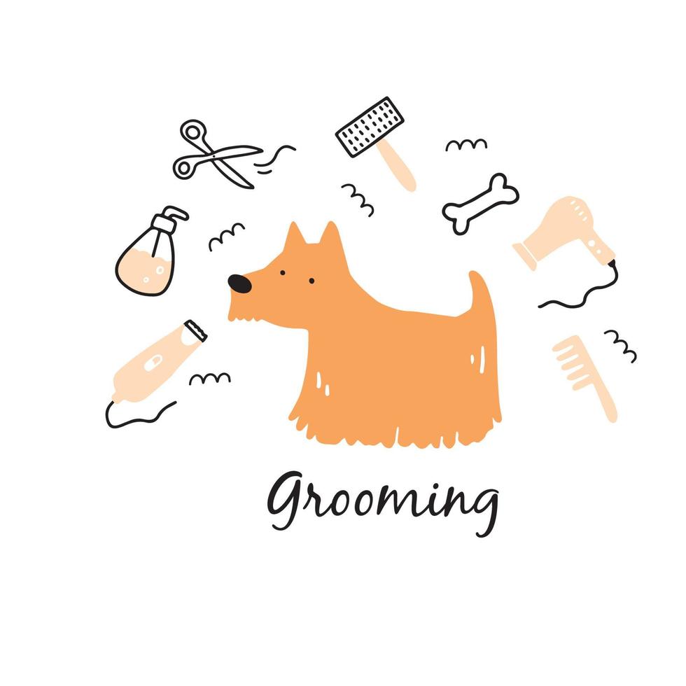 Cute puppy dog pet grooming. vector