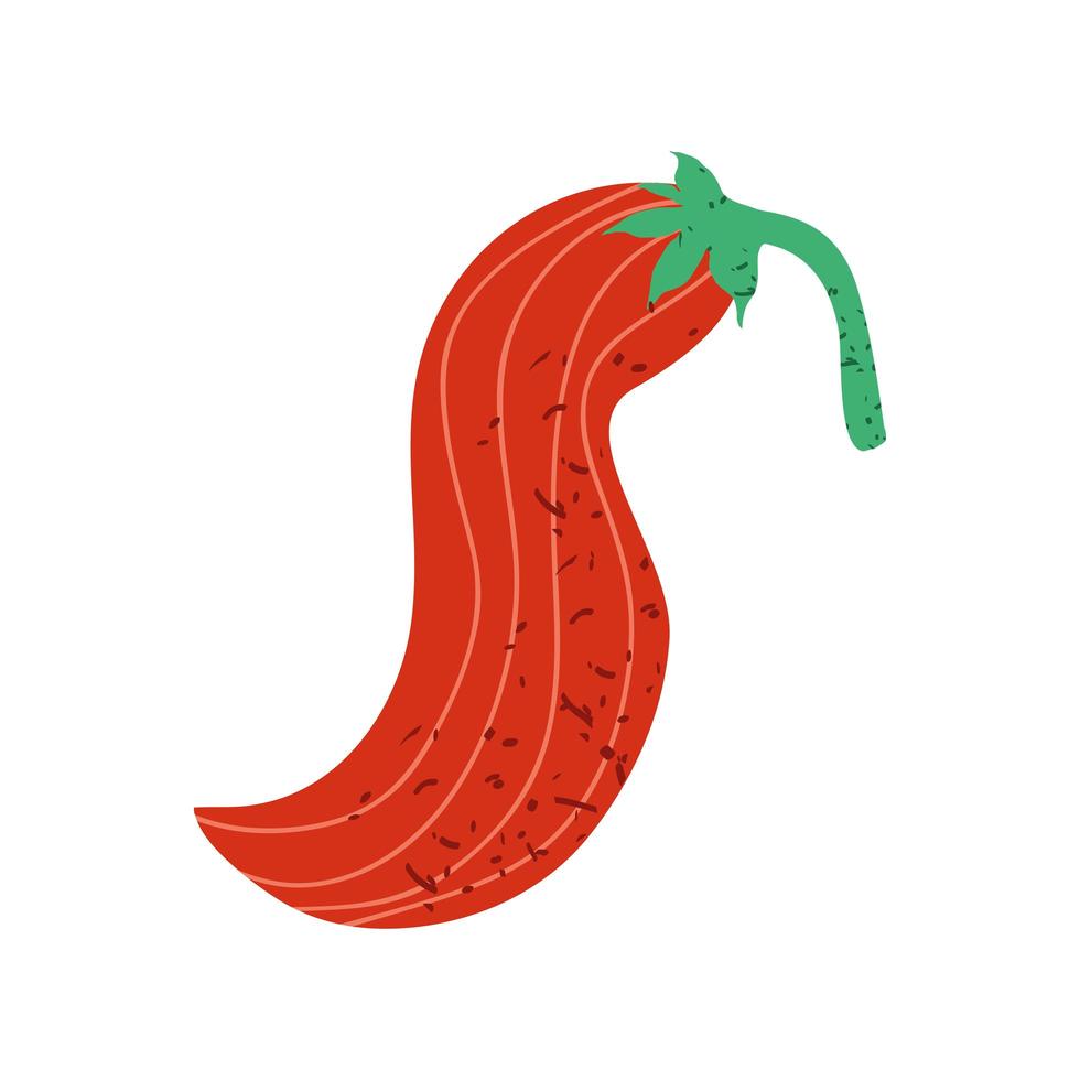 chili pepper fresh vector