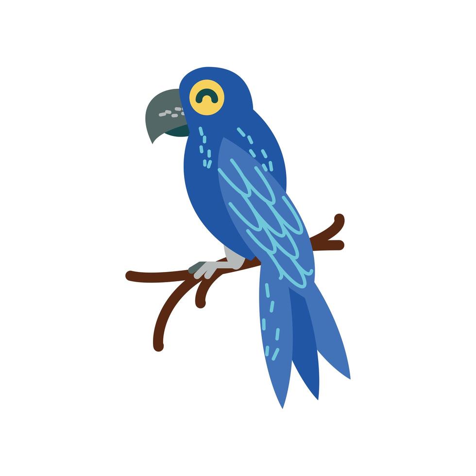 parrot on branch vector