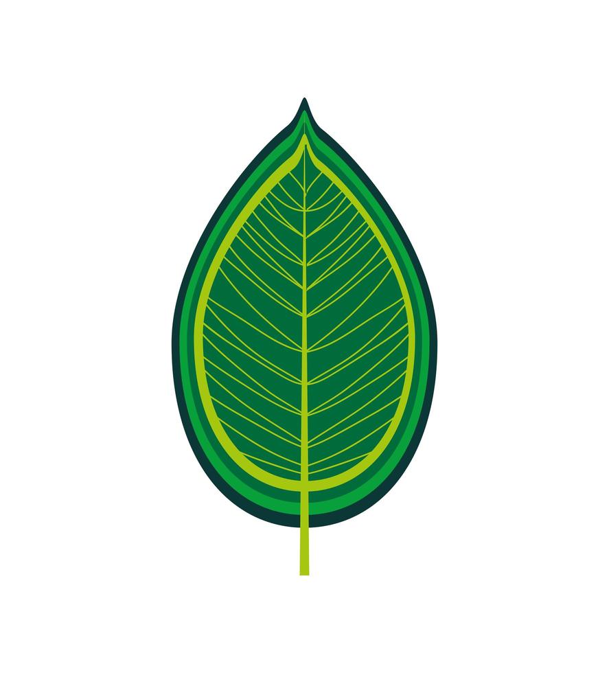 green leaf foliage vector