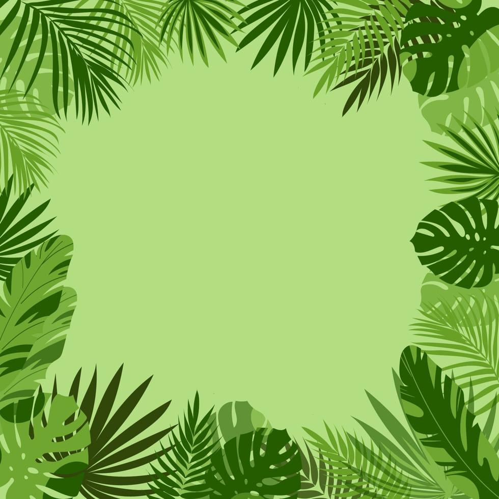 Frame with tropical leaves in green. Monstera, palm trees, tropics. vector