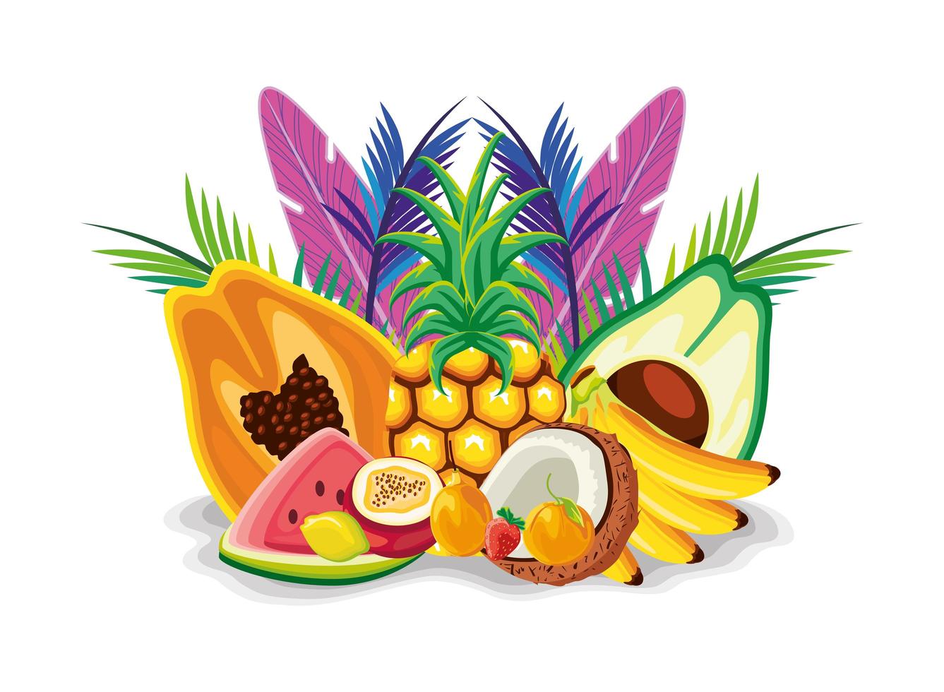 tropical exotic fruits vector