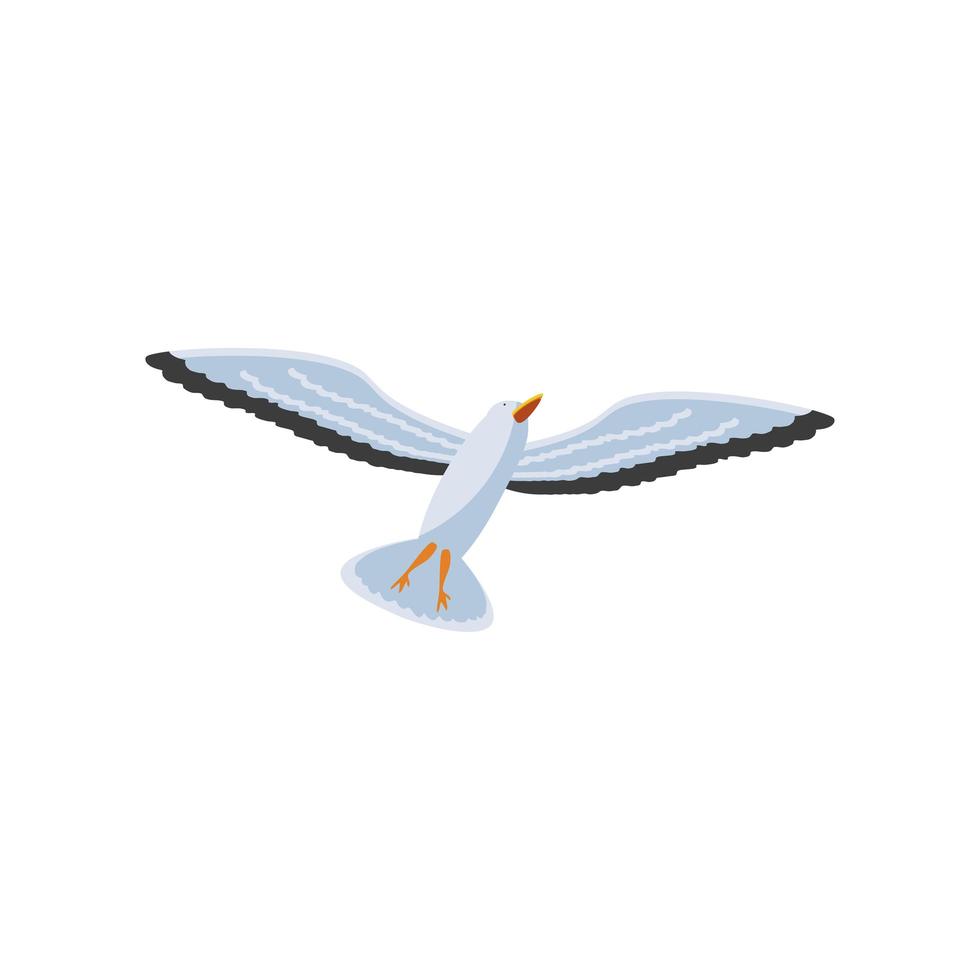 seagull bird animal vector