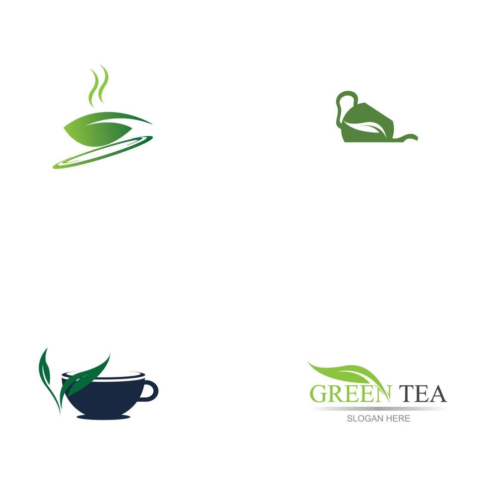 brotes de hojas verde té orgánico taza hoja logo símbolo diseño idea vector