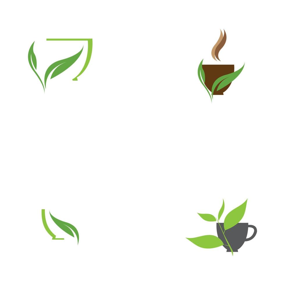 brotes de hojas verde té orgánico taza hoja logo símbolo diseño idea vector