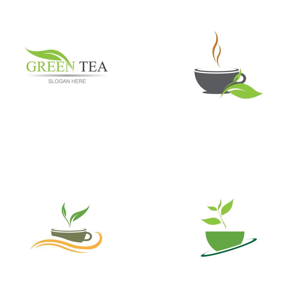 brotes de hojas verde té orgánico taza hoja logo símbolo diseño idea vector