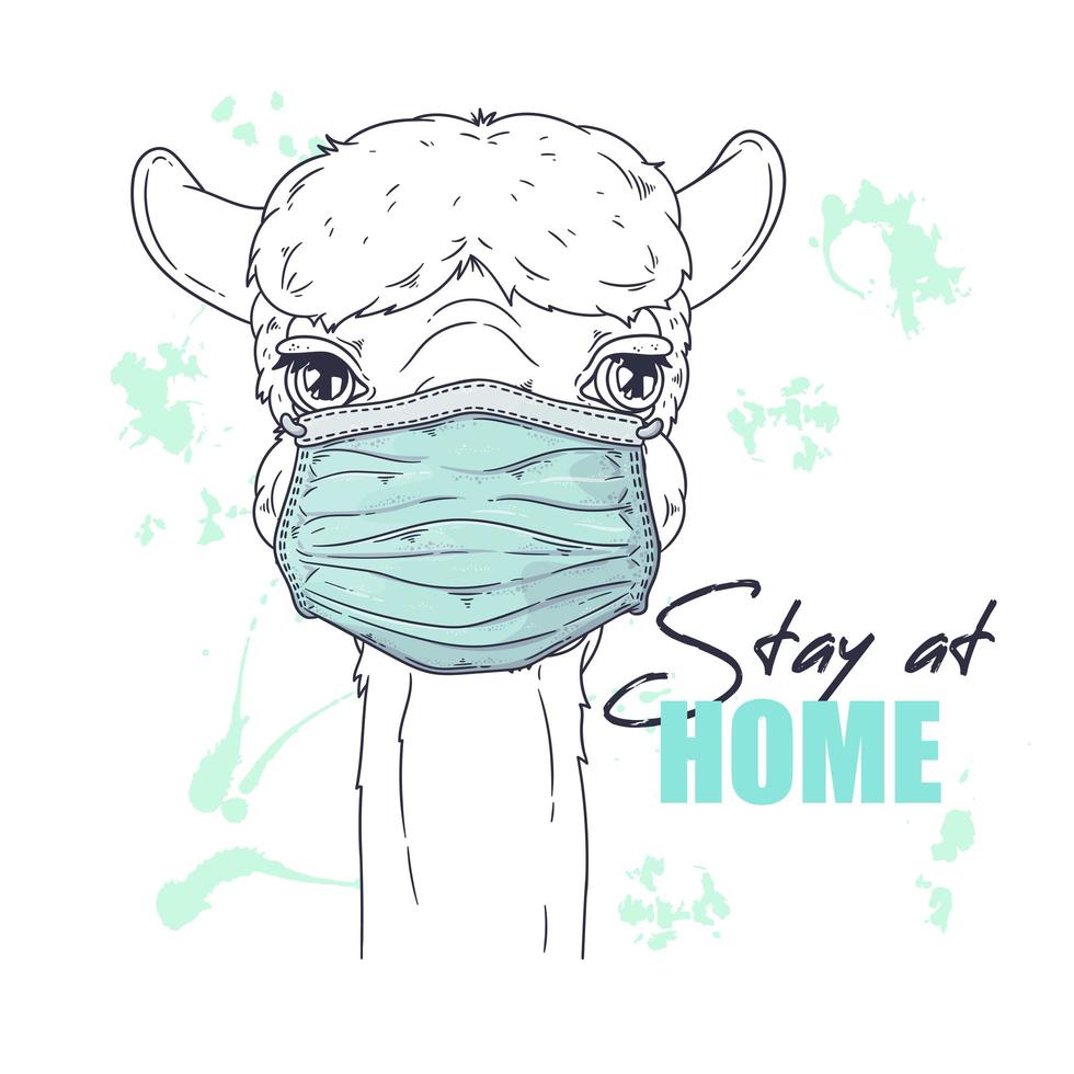 Hand drawn portrait of cute alpaca Vector. vector