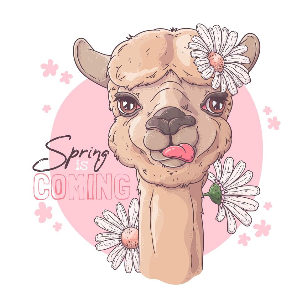 Hand drawn portrait of cute alpaca Vector. vector