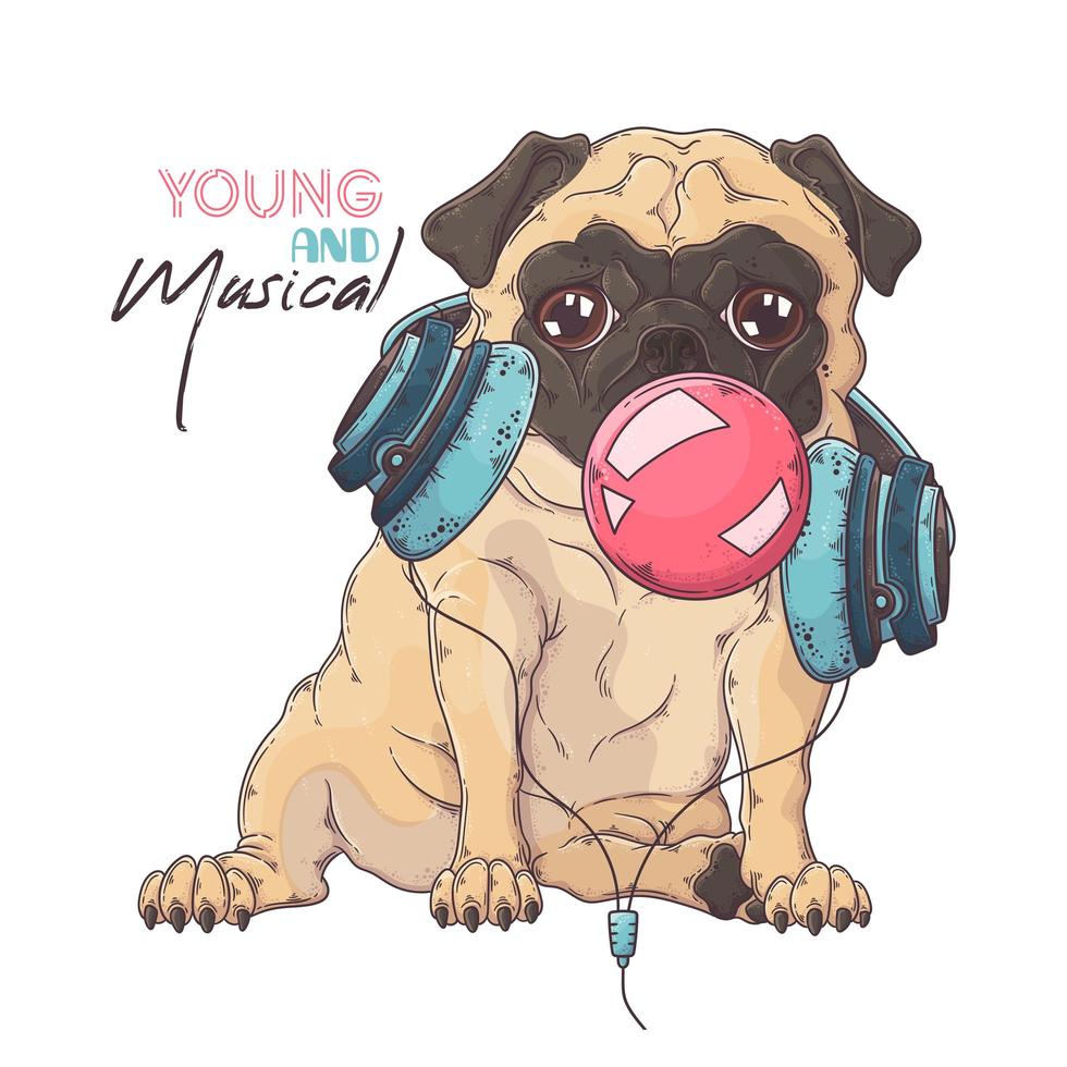 Hand drawn portrait of pug dog in accessories Vector. vector