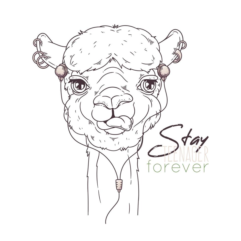 Hand drawn portrait of cute alpaca Vector. vector
